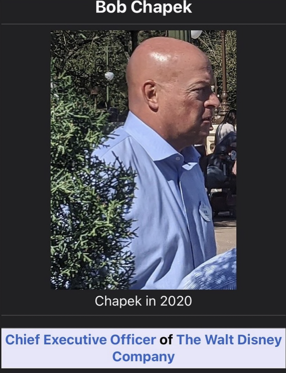 photo caption - Bob Chapek Chapek in 2020 Chief Executive Officer of The Walt Disney Company